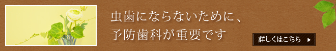 虫歯にならないために、予防歯科が重要です