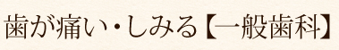 歯が痛い・しみる【一般歯科】