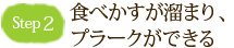 Step2　食べかすが溜まり、プラークができる